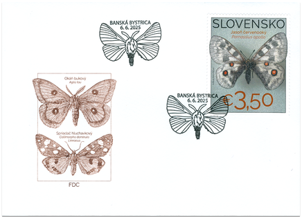 Nature Protection: The Collection of Butterflies in the Museum of Central Slovakia, Banská Bystrica